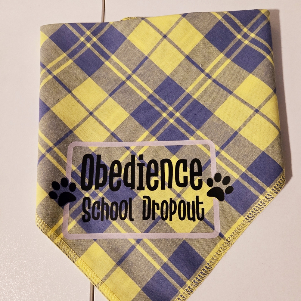 Plaid Dog Bandana with Fun Print